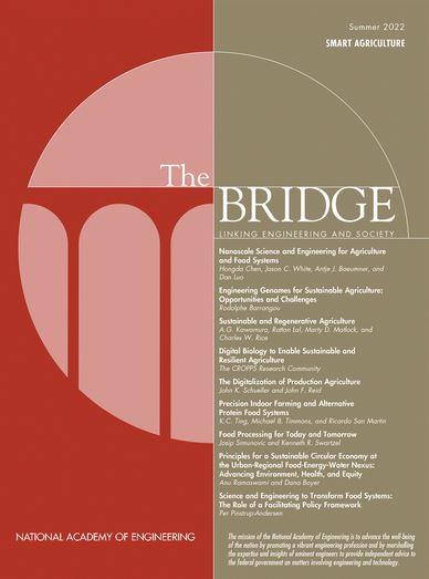 Cover of The Bridge issue