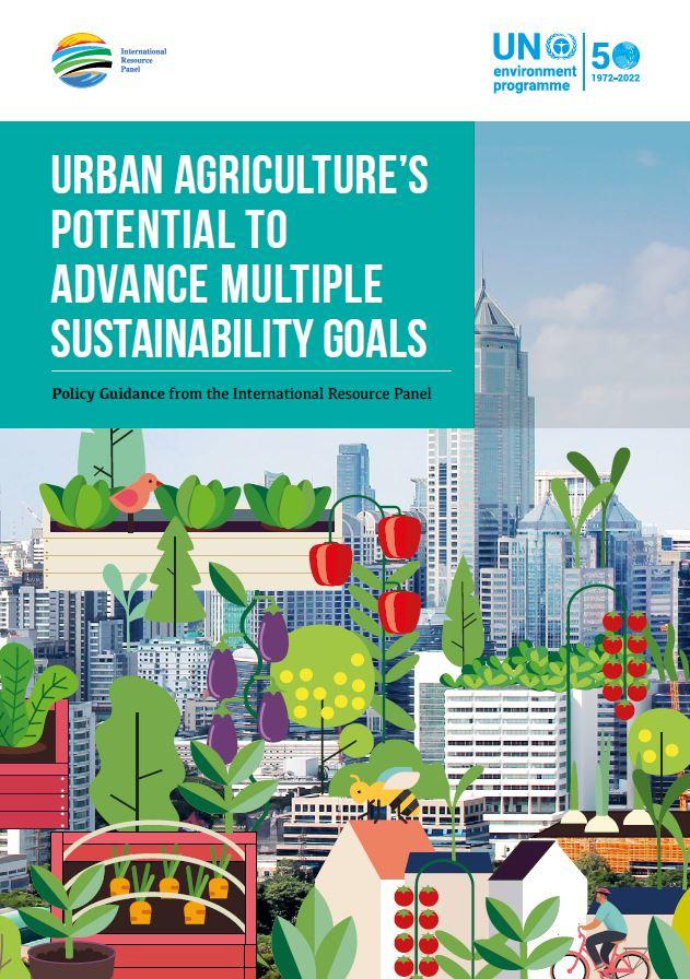 UNEP Policy Guidance report cover