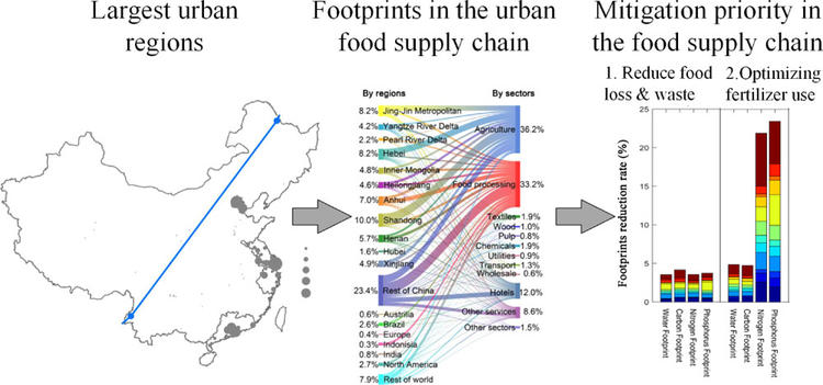 Figure: Footprints in the urban food supply chain