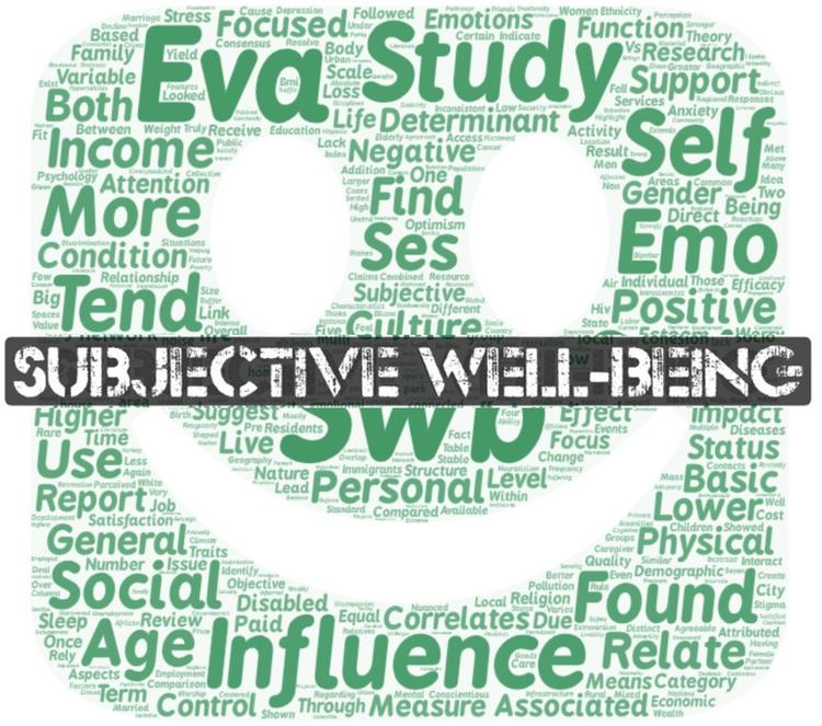 Word could about sujective well-being with a smiley face